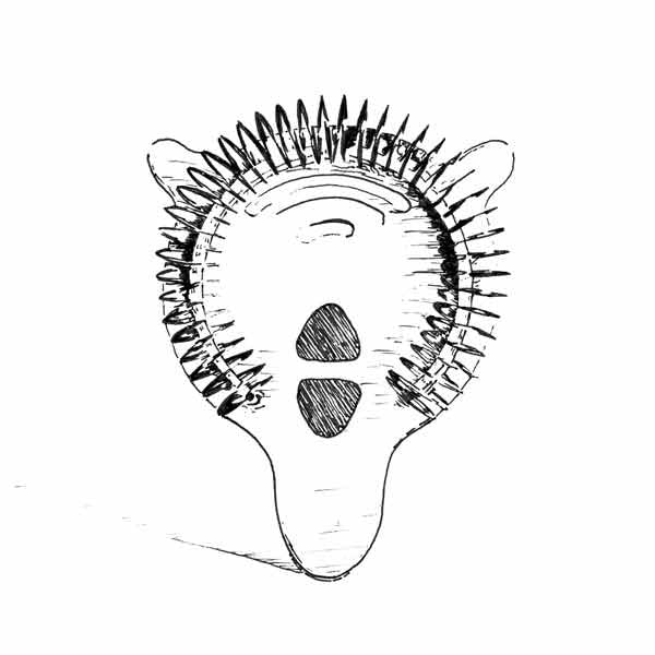 Illustration of a Hawthorne strainer. 